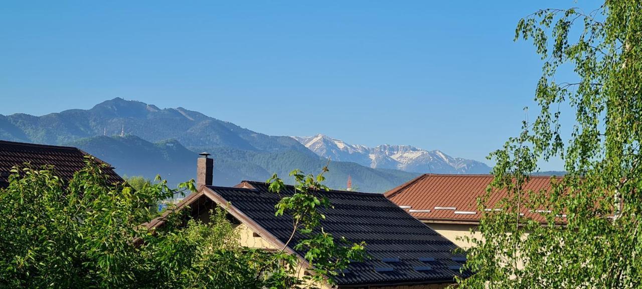 Casa Aryan Apartment Sanpetru Exterior photo