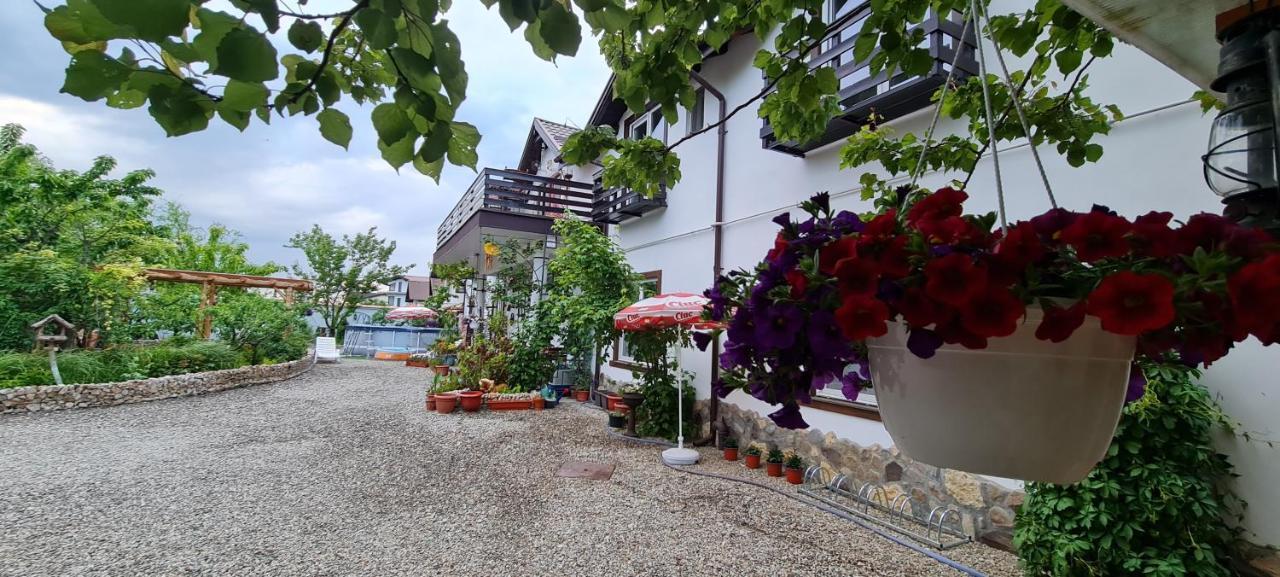 Casa Aryan Apartment Sanpetru Exterior photo